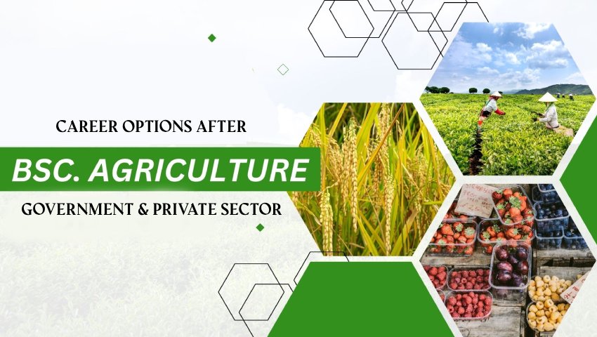 Career Options After B.Sc. Agriculture (Hons) – Government & Private Sector job opportunities with agriculture field images including crops, farmers, and agricultural produce.